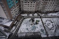 ���� �������� 54213