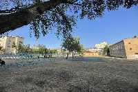 ���� �������� 53979