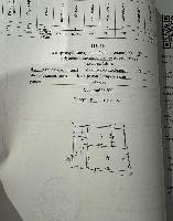 ���� �������� 54444