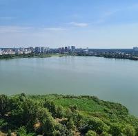 ���� �������� 54065