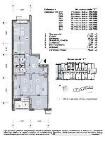 ���� �������� 54433