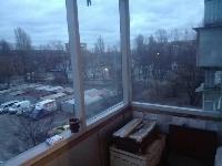 ���� �������� 8025