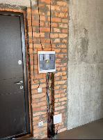 ���� �������� 53944