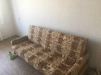 ���� �������� 6204