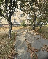 ���� �������� 53978