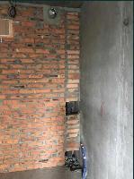 ���� �������� 54281