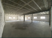 ���� �������� 53919